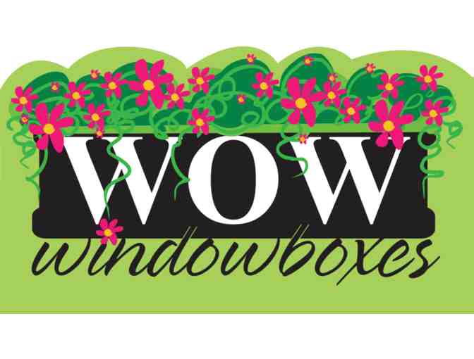 WOW WINDOWBOXES - TWELVE FEET OF  CUSTOM WINDOWBOXES & FOUR (4) SEASONS OF PLANTINGS