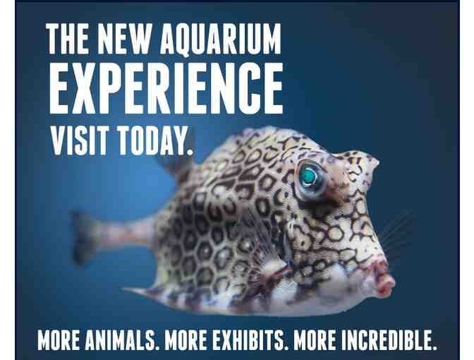 2 Passes to the New England Aquarium