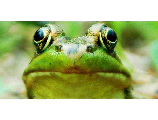 Two Passes to the Monshire Musuem of Science