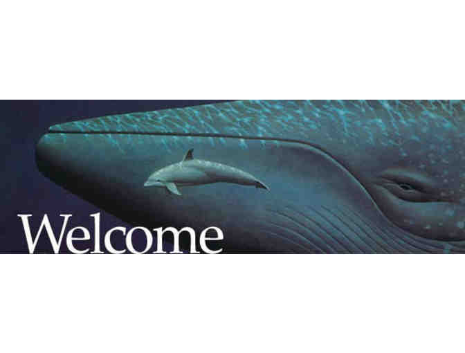 Four Tickets to the New Bedford Whaling Museum