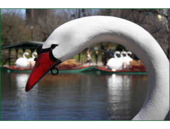 Four Tickets for the Swan Boats of Boston - Photo 3