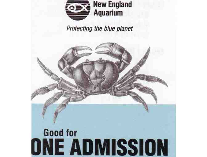 Two Passes to the New England Aquarium
