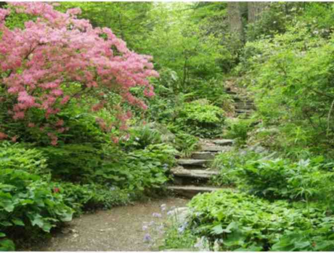 4 Tickets to Native Plant Trust Garden in the Woods
