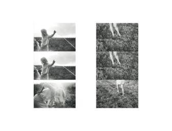 BAM Photo Portfolio IV