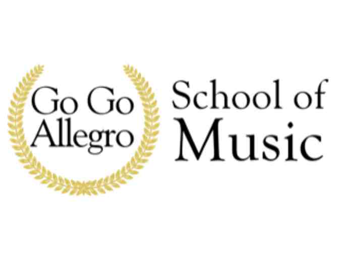 Go Go Allegro - 30 minute music lesson (virtual) - Photo 1
