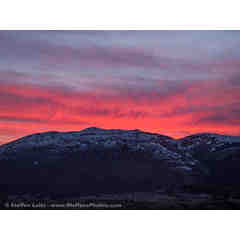 Steffen Luitz, Barron Park Parent