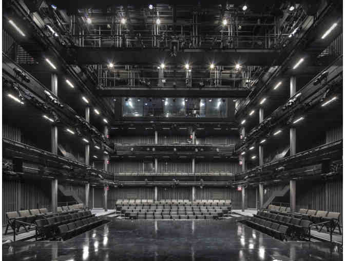 Theater For A New Audience - 2 Flexpass Packages for 2019-2020 Season