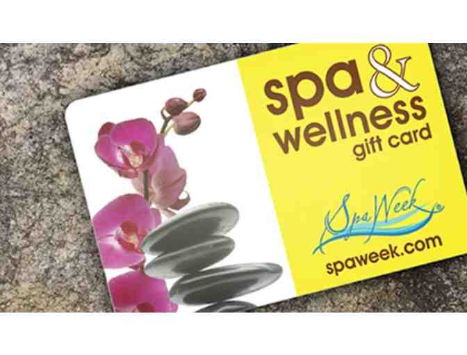 BIG LITTLE LIES Basket