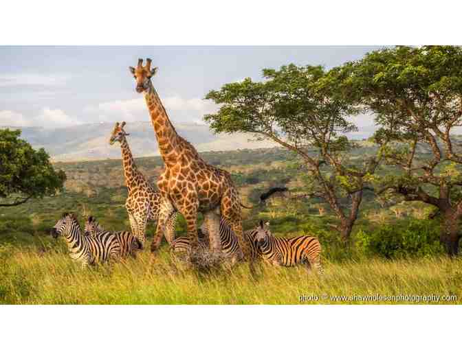 South African Photo Safari Auction Package for Two at Zulu Nyala