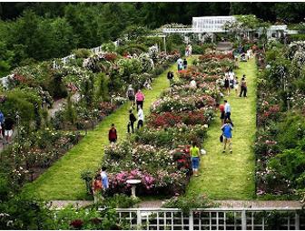 I LOVE BROOKLYN Package