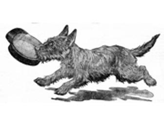 Getting Started with Training & Behavior Modification