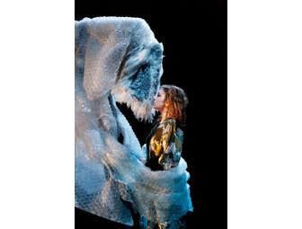 Tickets to Lincoln Center Festival's Aurelia Thierree & Victoria Thierree Chaplin: Murmurs