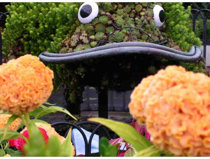 Four (4) General Admission Tickets to the New York Botanical Garden