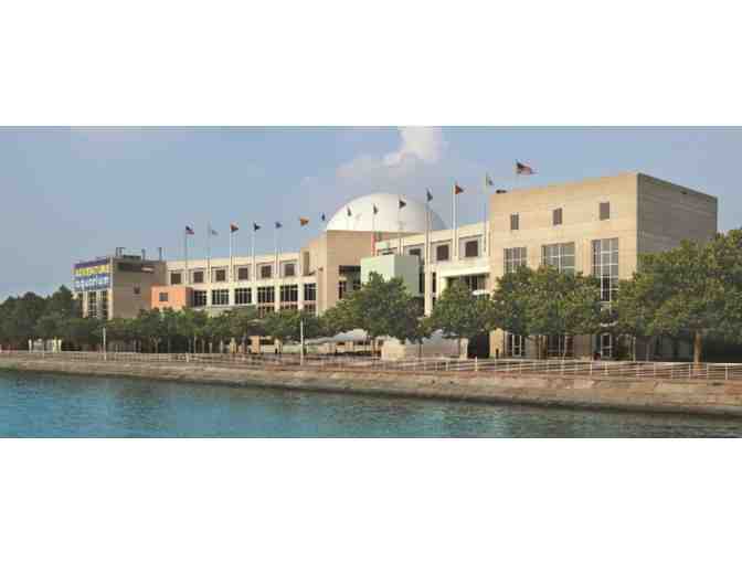 Two (2) Admission Passes to Adventure Aquarium
