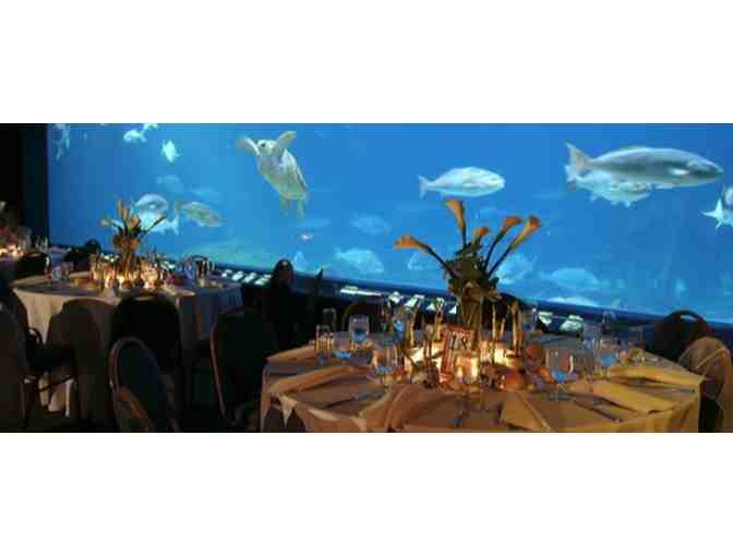 Two (2) Admission Passes to Adventure Aquarium