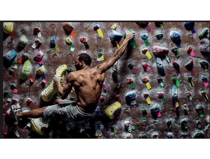 Brooklyn Daredevils Package