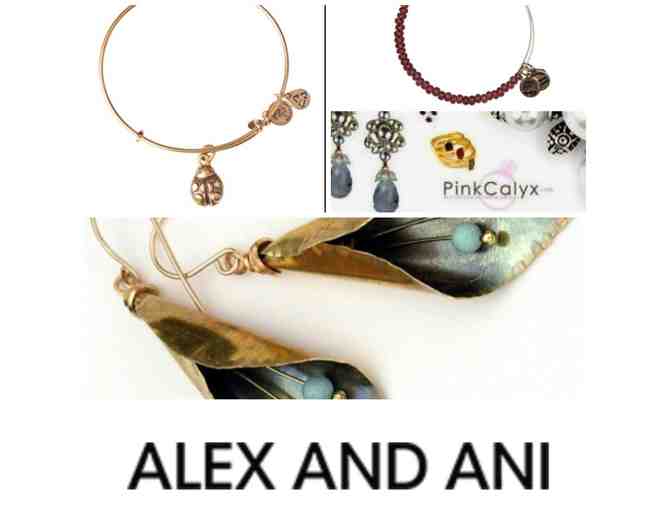 Pink Calyx & ALEX AND ANI Package!