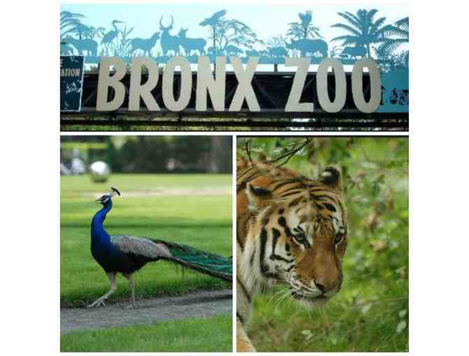Four (4) General Admission Tickets to the Bronx Zoo