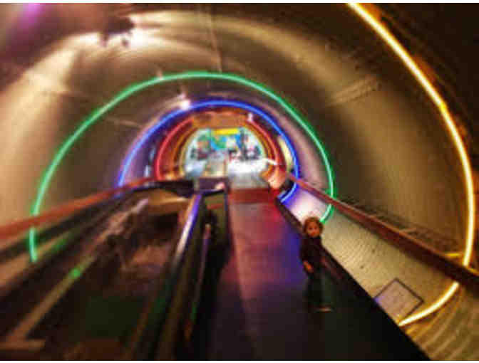 Traveler Family Membership to the Brooklyn Children's Museum