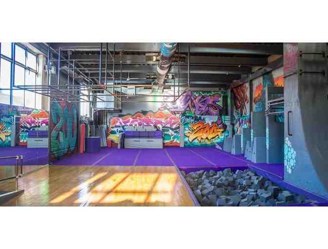 2 Classes this Summer at Brooklyn Zoo