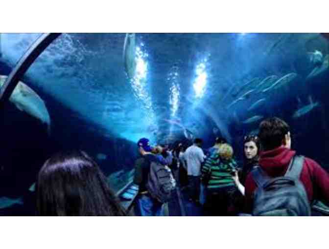 San Francisco Fun at Pier 39