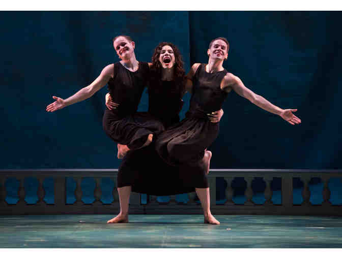 Level 2 Membership at BAM (Brooklyn Academy of Music)