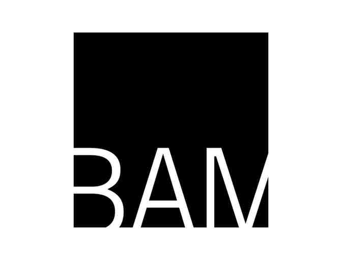 Level 2 Membership at BAM (Brooklyn Academy of Music)
