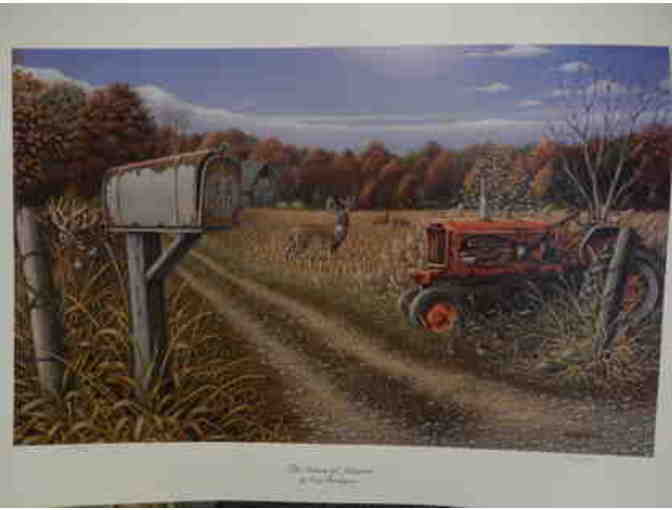 2004 'Colors of Autumn' wildlife print by Greg Bordignon Print
