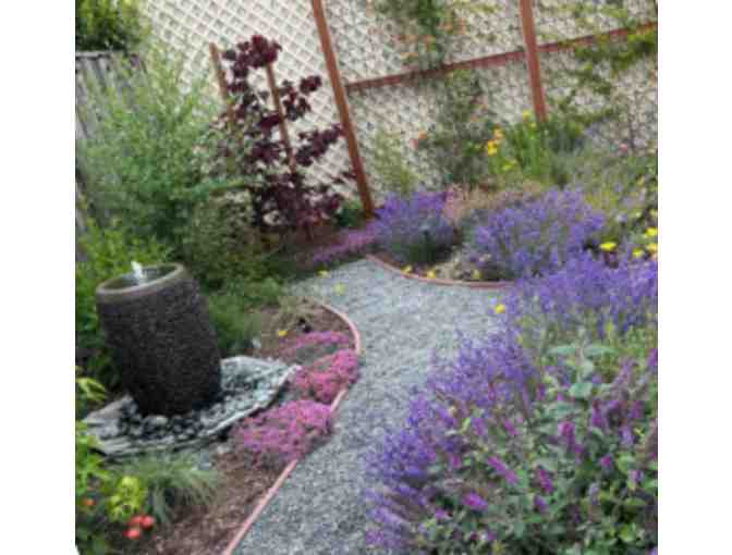 2 Hour Garden Consultation by Landscape Designer Marla Lee