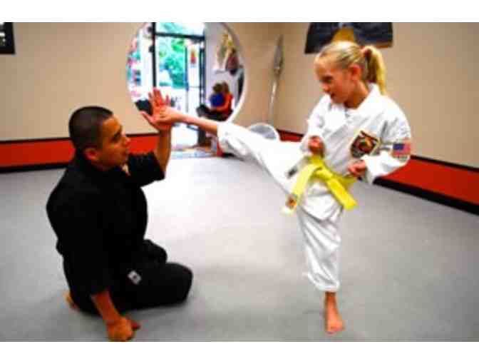 One (1) Month of Martial Arts Instruction at United Studios of Self Defense