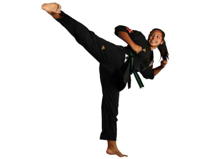 One (1) Month of Free Classes, One (1) Private Lesson at USA Freestyle Martial Arts