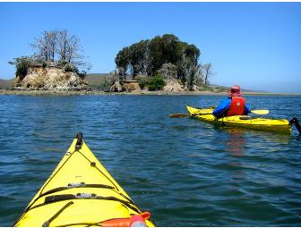 2 Hour Double Kayak Rental on Tomales Bay