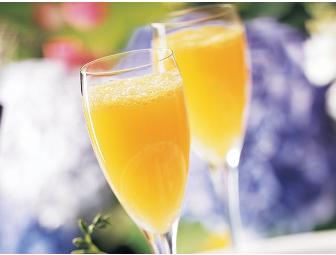 A Hike and Brunch in Marin - Sept. 20