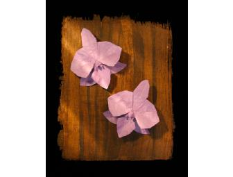 Origami Lesson and Autographed Copy of Origami Odyssey: A Journey to the Edge of Paperfolding