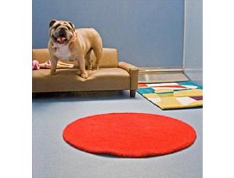 Dog Days Play Package