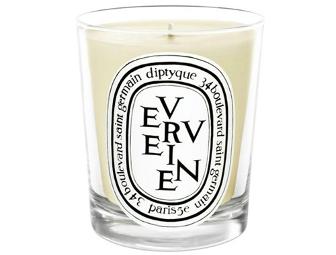 A Day of Beauty in Marin