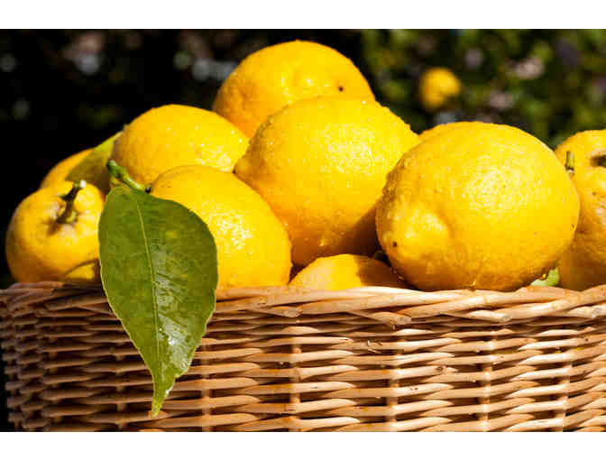 Lemon Basket from Nancy Payne