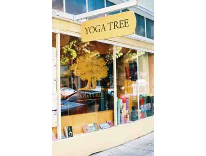 11 Class Passes to Yoga Tree