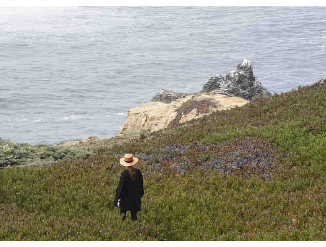 Scenic California: Sonoma Coast & Napa Vineyards