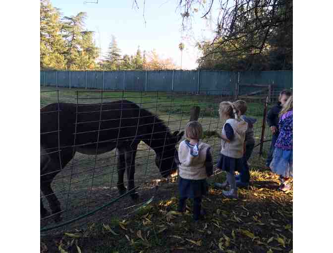 Fun on the Farm with Mrs. Majka and Mrs. Driscoll