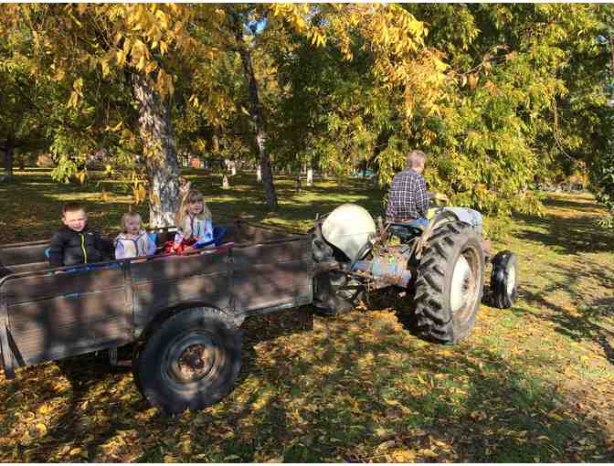 Fun on the Farm with Mrs. Majka and Mrs. Driscoll