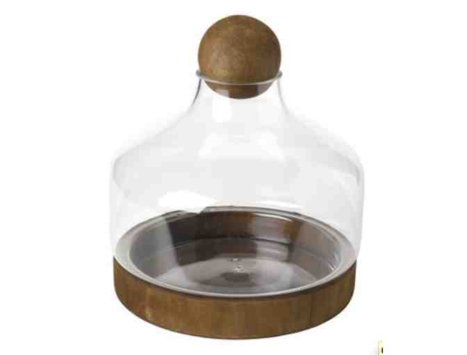 Glass & Wood Terrarium