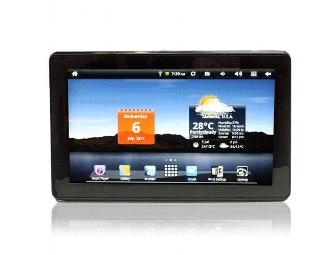 SVP TPC7901(with micro 16GB) 7-Inch Tablet with Touch screen and Android 2.1
