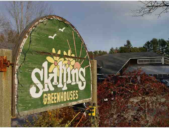 $50 Skillin's Greenhouse - Photo 1