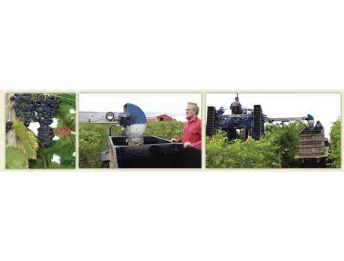 Admission for two (2) to the Taste of Linganore Festival