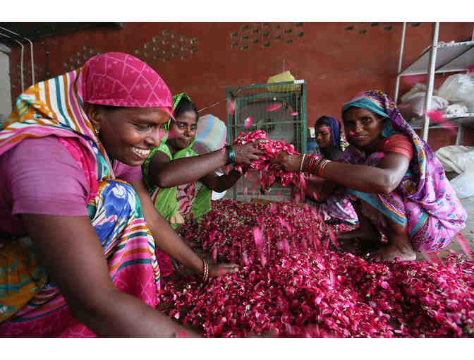 Organic India Tulsi Gift Basket