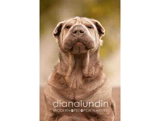 Custom Pet Photography Session