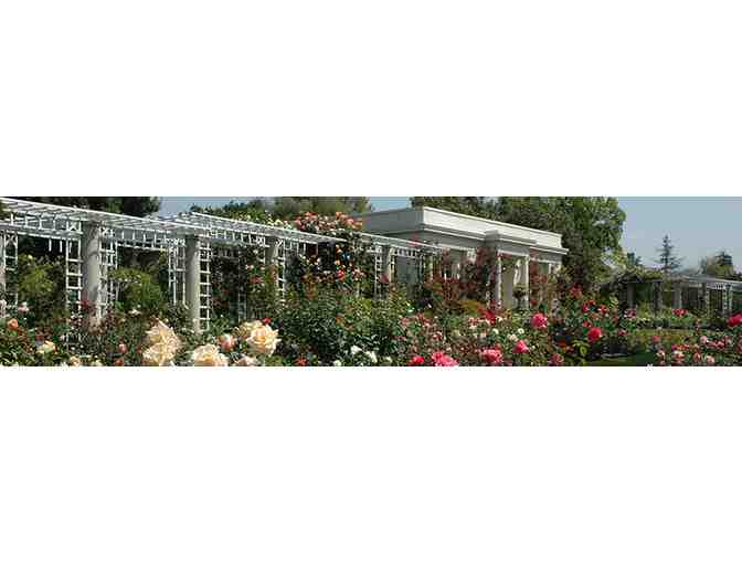 The Huntington Library (Two Guest Passes)