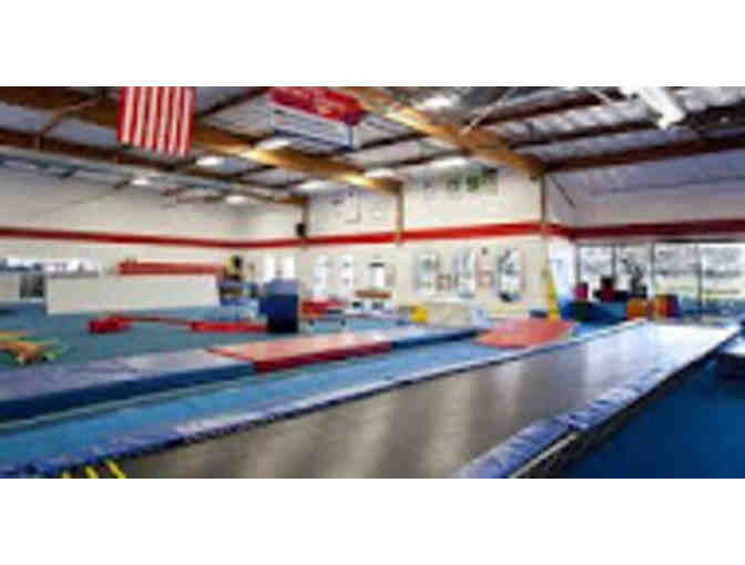 Gymtowne Gymnastics - One Month Tuition