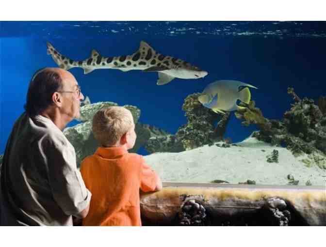 Portland Aquarium - Annual Family Membership